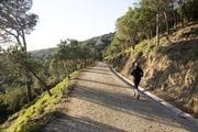 La carretera de las Aigües