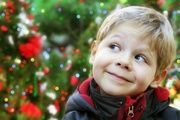 Decoramos la Navidad con vitrales — Casa Museo Amatller