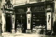 Viena Capellanes