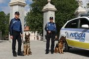 Exhibición canina de la Policía Municipal