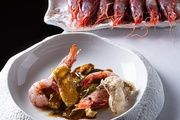 Plan gastronómico y vegetal para Sant Jordi 2026