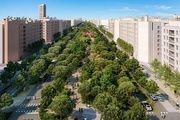 Transformación de la Gran Vía del Sureste (visualización)