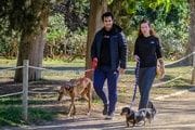  Barcelona amplía los espacios para pasear perros sin correa