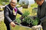  La Comunidad de Madrid organiza más de 200 actividades medioambientales gratuitas este verano para descubrir y conservar la biodiversidad