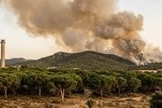 Incendio forestal en San Martín de Valdeiglesias