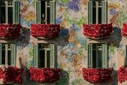  Casa Batlló | Sant Jordi