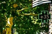  Madrid afronta este viernes aviso amarillo por calor intenso