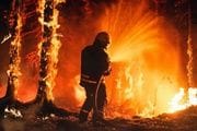  Seis incendios forestales estabilizados tras una noche crítica en Cataluña