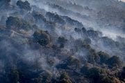 Incendio en Aldea del Fresno