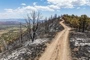 Incendio Sierra Oeste