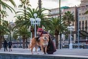  Barcelona lanza nuevas sanciones contra el incivismo y pone el foco en los perros