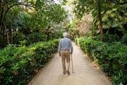 Jardín de los Cipreses en Montjuïc