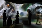 La exposición "Somos Naturaleza" en CaixaForum Madrid