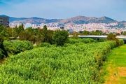  El cierre de Collserola sacude Barcelona tras detectarse peste porcina en la ciudad