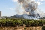 El incendio forestal en la Comunidad de Madrid