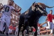 Encierro en San Sebastián de los Reyes |TELEMADRID