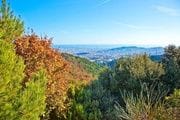  Collserola se seca y afronta un riesgo extremo por la ola de calor