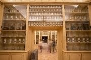 La Real Botica abrirá como nuevo espacio museográfico a final de año