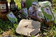  Productos de la Sierra Norte de Madrid