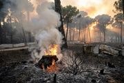 Efectos del incendio forestal de la sierra oeste de Madrid, en la finca La Granjilla de Cadalso de los Vidrios.