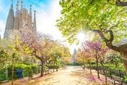 Entrada gratis a la Sagrada Família para todos los Jordis y Jordinas por Sant Jordi 2025