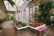  Museu de Ciències Naturals de Barcelona | Darwin Botànic