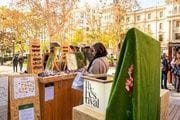 The Festival by Salesas