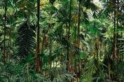  29 de junio: qué se celebra hoy