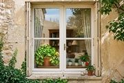  Plantas en una ventana