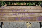 Banco grafiteado en Consell de Cent / ELISENDA PONS