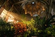  El refugio climático del Círculo de Bellas Artes