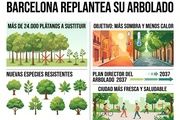  Barcelona cambiará miles de plátanos para sobrevivir al calor y dar más sombra a la ciudad