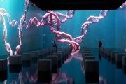 ala inmersiva de Human Universe, la experiencia sobre el cuerpo humano que abre en Madrid