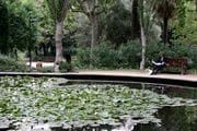 Turó Park