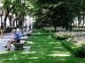 Paseo del Prado